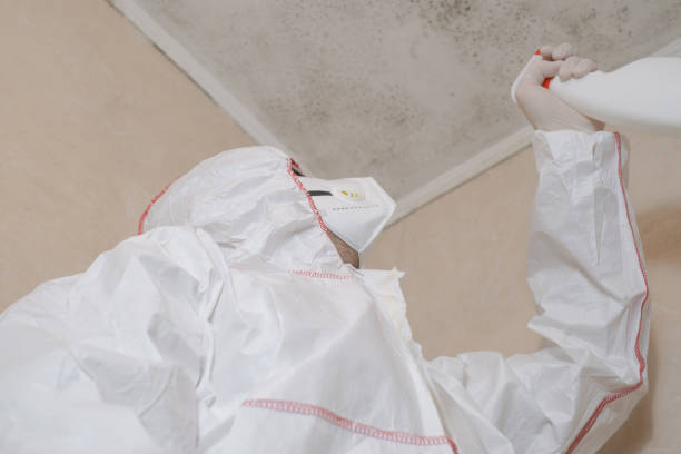 Best HVAC Mold Remediation in Kenvil, NJ